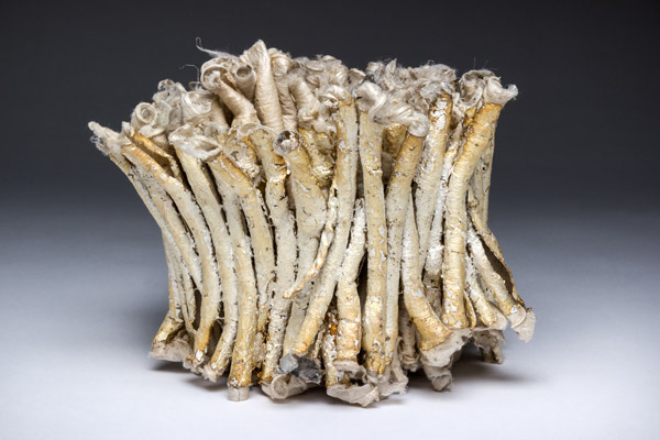Fungus, 2015