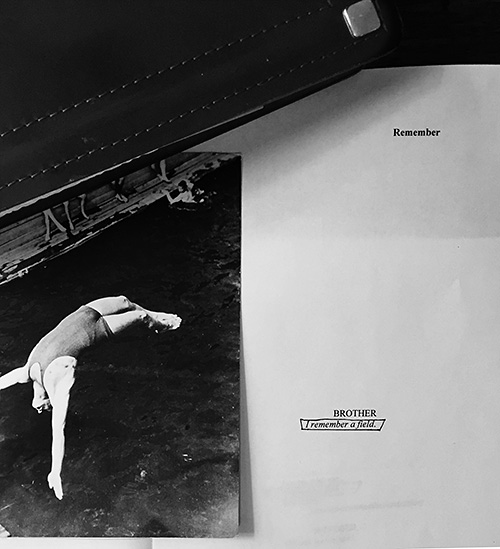 Liz Appel manuscript cover and photo of diver